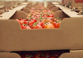 Expertos radiografían los retos y oportunidades de la industria agroalimentaria en el exterior