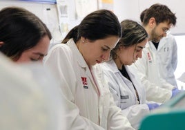 UMH impartirá en la EPSO el Doble Grado en Ingeniería Agroalimentaria y Agroambiental y Ciencia y Tecnología de los Alimentos.
