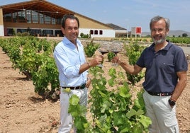 Los hermanos Antonio y Alfredo Candela brindan con el vino conmemorativo del centenario en una de las parcelas de la bodega.