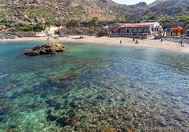 Cala Cortina. Proyección de la película 'Infierno azul' desde flotadores en el agua.