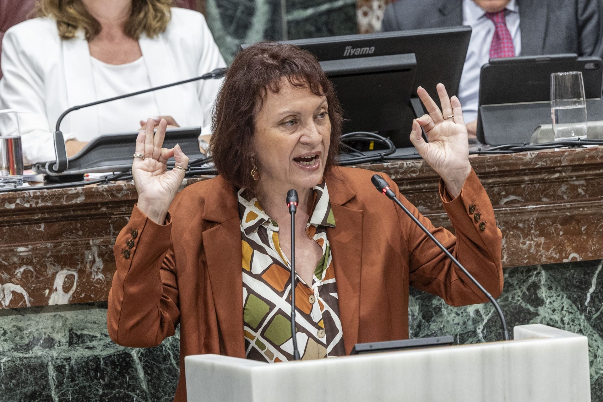 La aprobación del techo de gasto de la Comunidad para 2025, en imágenes