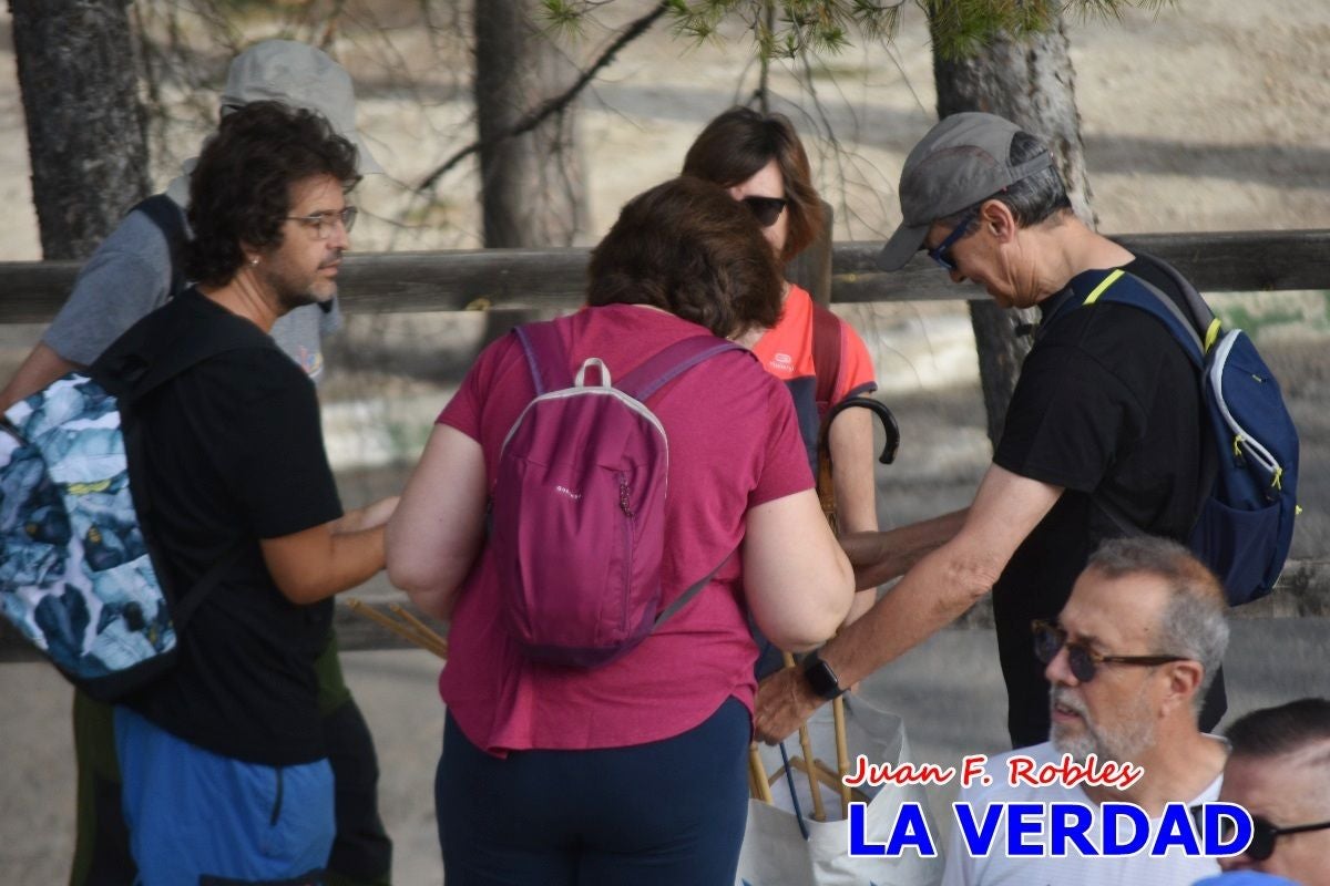 Imágenes de la marcha convocada por Plaza Nueva por la conexión ferroviaria con Albacete