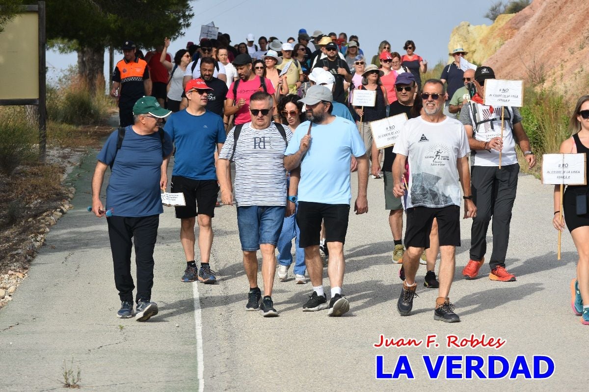Imágenes de la marcha convocada por Plaza Nueva por la conexión ferroviaria con Albacete