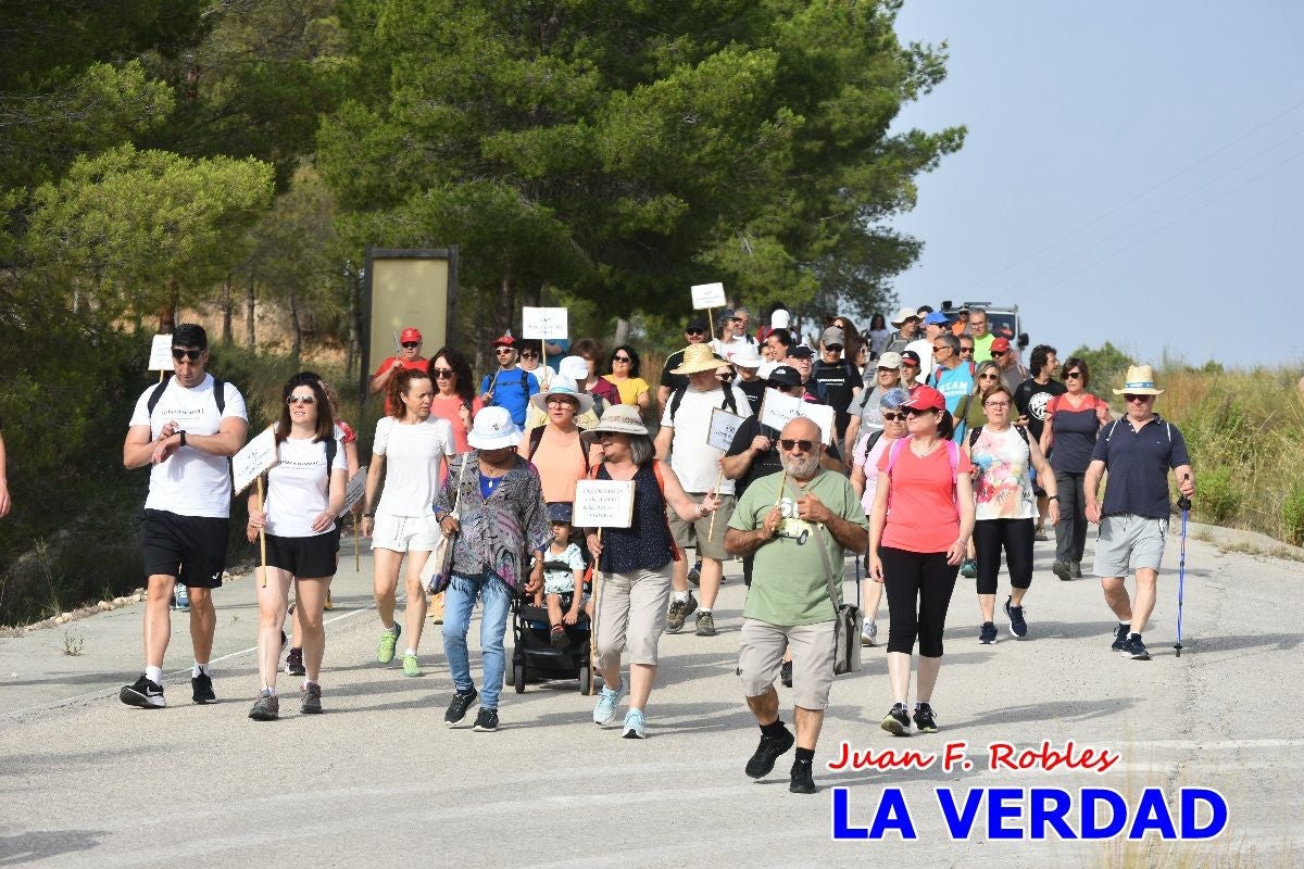 Imágenes de la marcha convocada por Plaza Nueva por la conexión ferroviaria con Albacete