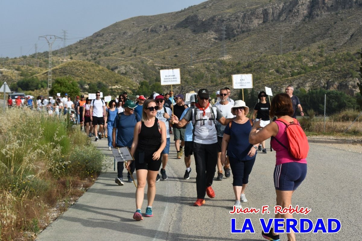 Imágenes de la marcha convocada por Plaza Nueva por la conexión ferroviaria con Albacete