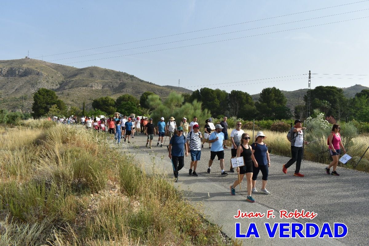 Imágenes de la marcha convocada por Plaza Nueva por la conexión ferroviaria con Albacete