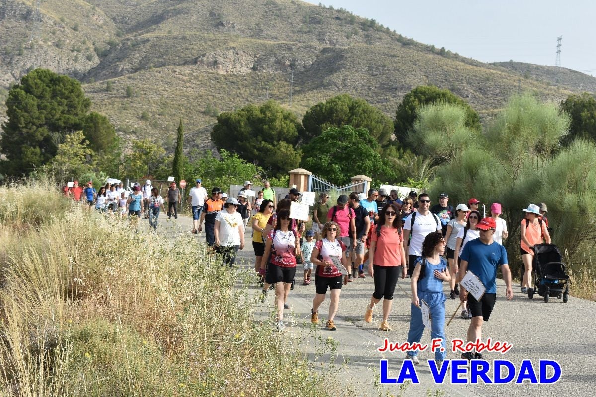 Imágenes de la marcha convocada por Plaza Nueva por la conexión ferroviaria con Albacete