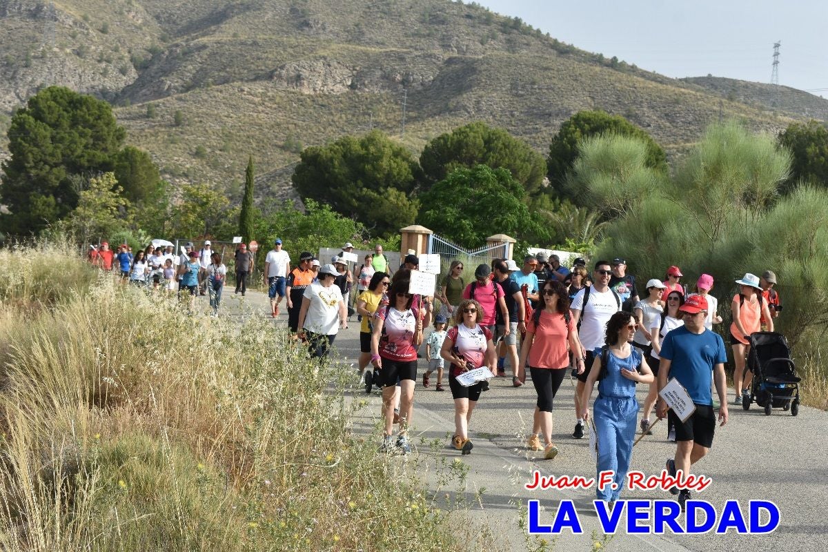 Imágenes de la marcha convocada por Plaza Nueva por la conexión ferroviaria con Albacete