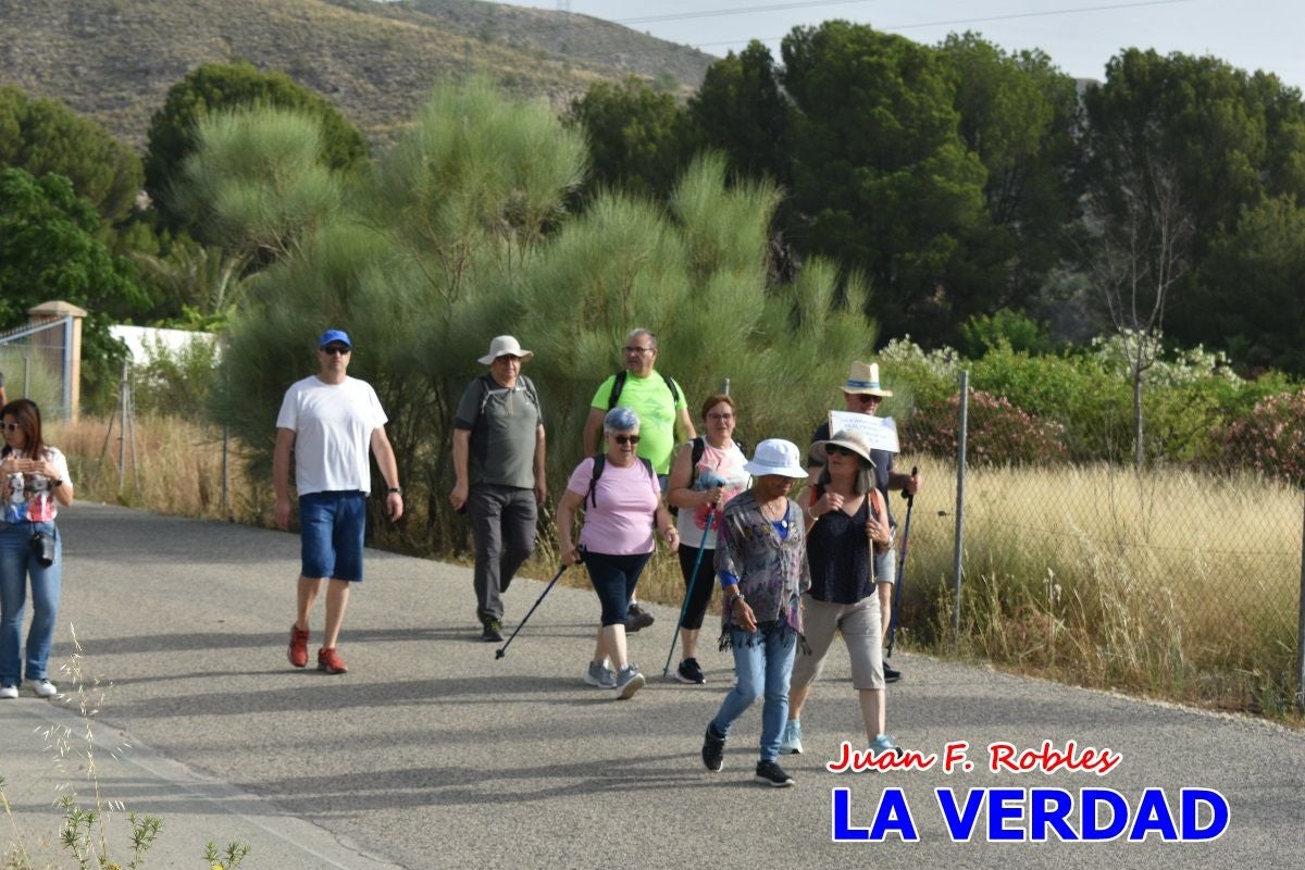 Imágenes de la marcha convocada por Plaza Nueva por la conexión ferroviaria con Albacete