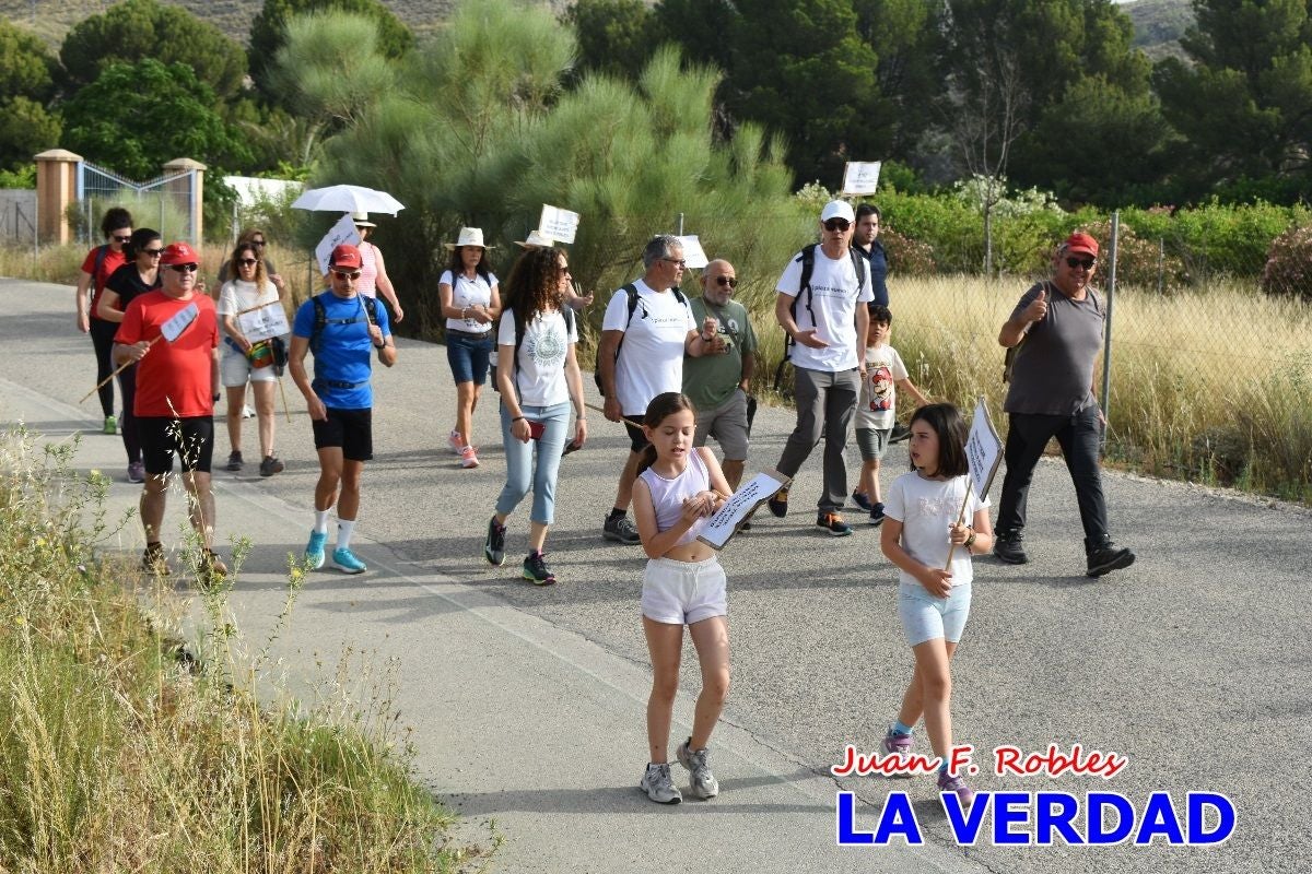 Imágenes de la marcha convocada por Plaza Nueva por la conexión ferroviaria con Albacete