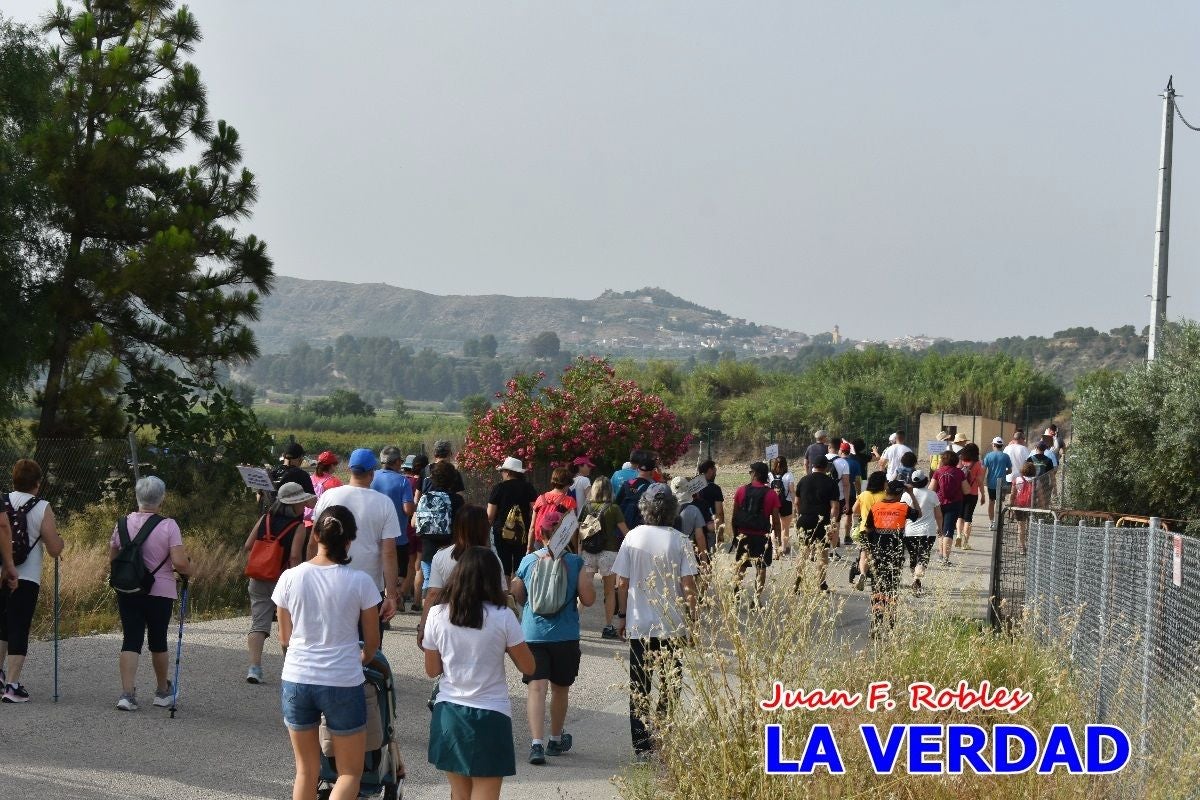 Imágenes de la marcha convocada por Plaza Nueva por la conexión ferroviaria con Albacete