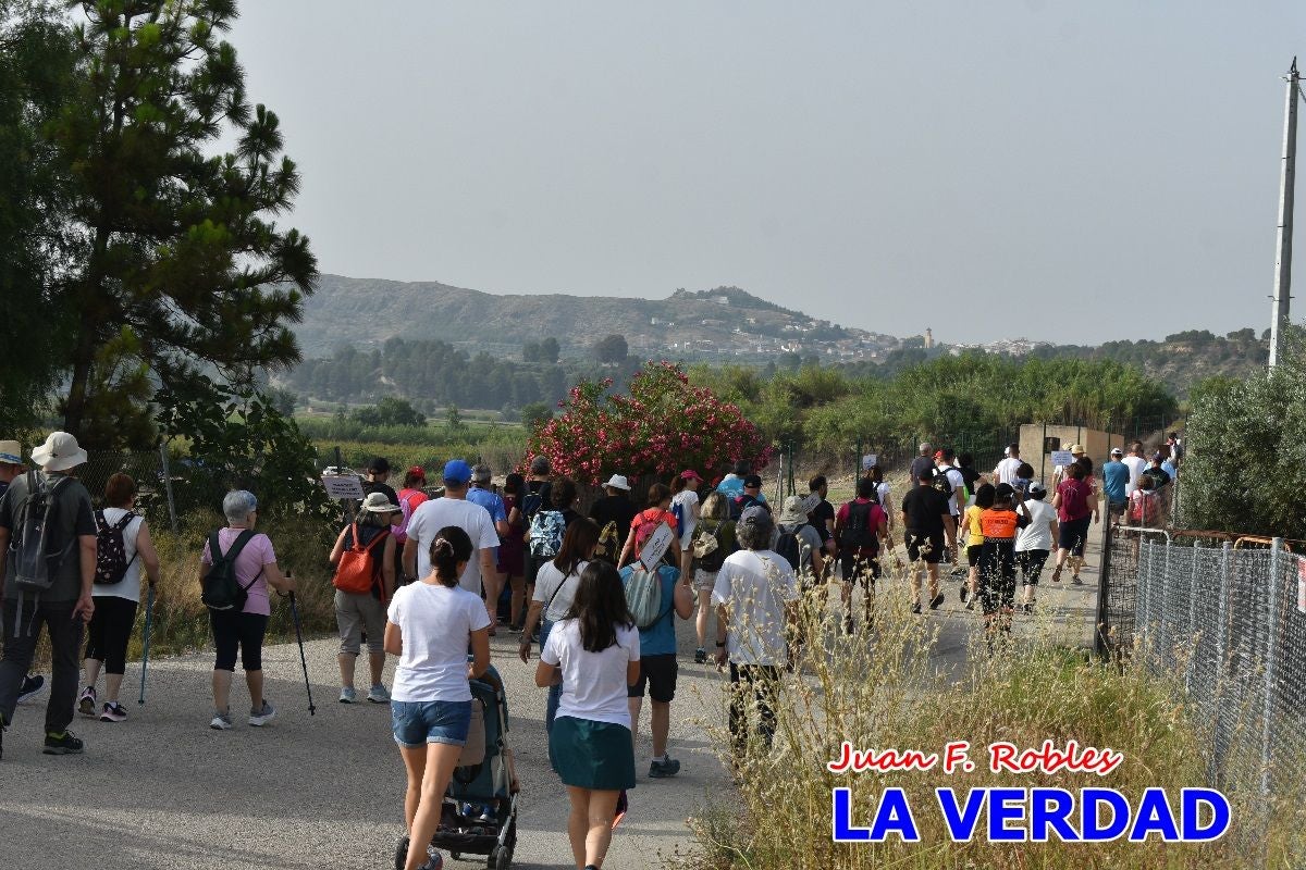 Imágenes de la marcha convocada por Plaza Nueva por la conexión ferroviaria con Albacete