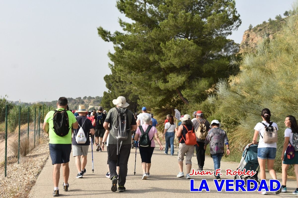 Imágenes de la marcha convocada por Plaza Nueva por la conexión ferroviaria con Albacete