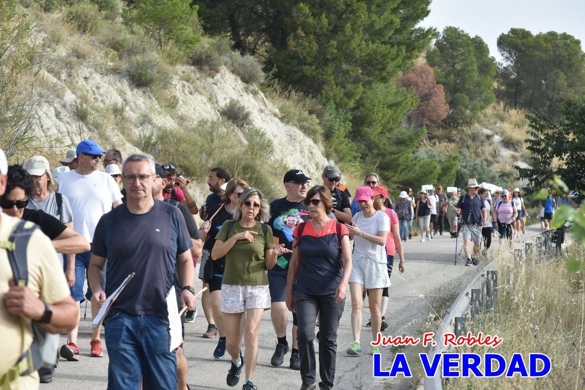 Imágenes de la marcha convocada por Plaza Nueva por la conexión ferroviaria con Albacete