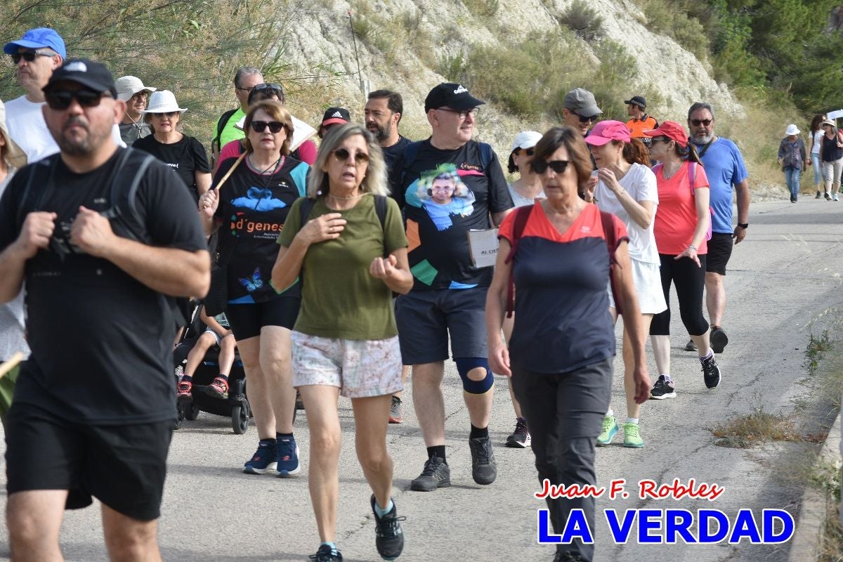 Imágenes de la marcha convocada por Plaza Nueva por la conexión ferroviaria con Albacete