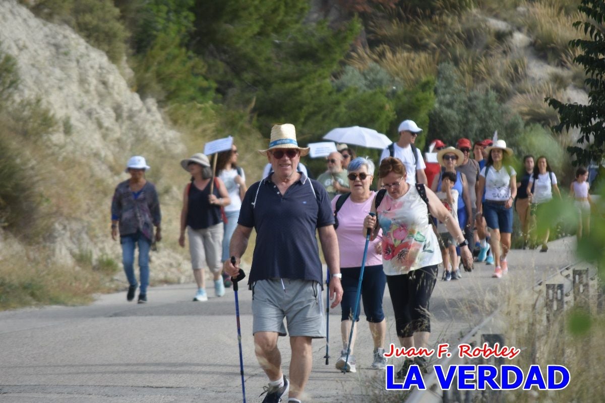 Imágenes de la marcha convocada por Plaza Nueva por la conexión ferroviaria con Albacete