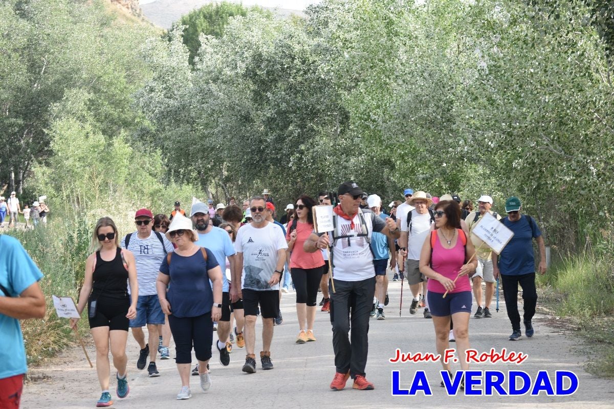 Imágenes de la marcha convocada por Plaza Nueva por la conexión ferroviaria con Albacete