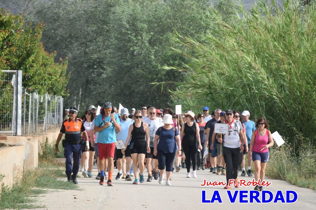 Imágenes de la marcha convocada por Plaza Nueva por la conexión ferroviaria con Albacete