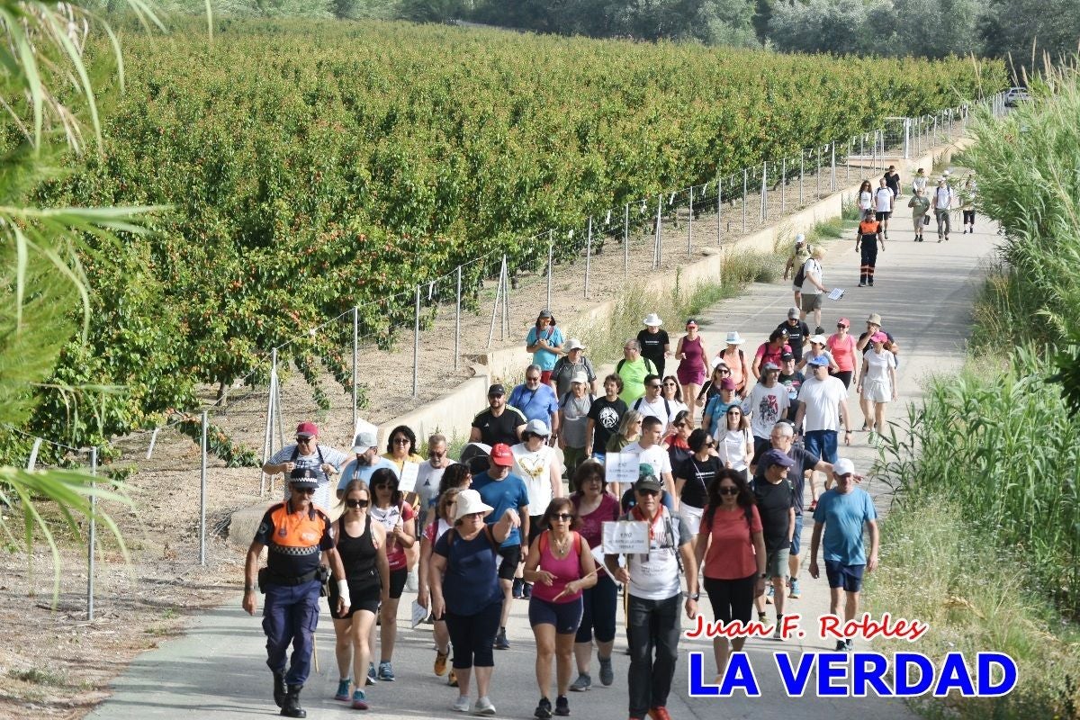 Imágenes de la marcha convocada por Plaza Nueva por la conexión ferroviaria con Albacete