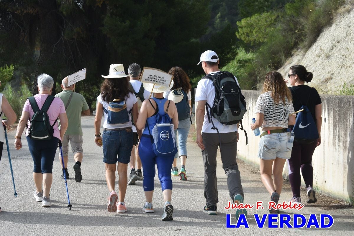Imágenes de la marcha convocada por Plaza Nueva por la conexión ferroviaria con Albacete
