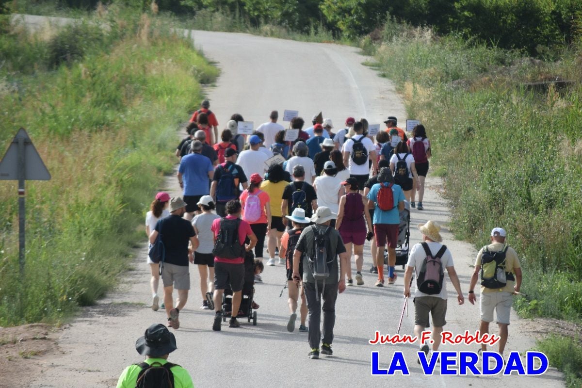 Imágenes de la marcha convocada por Plaza Nueva por la conexión ferroviaria con Albacete