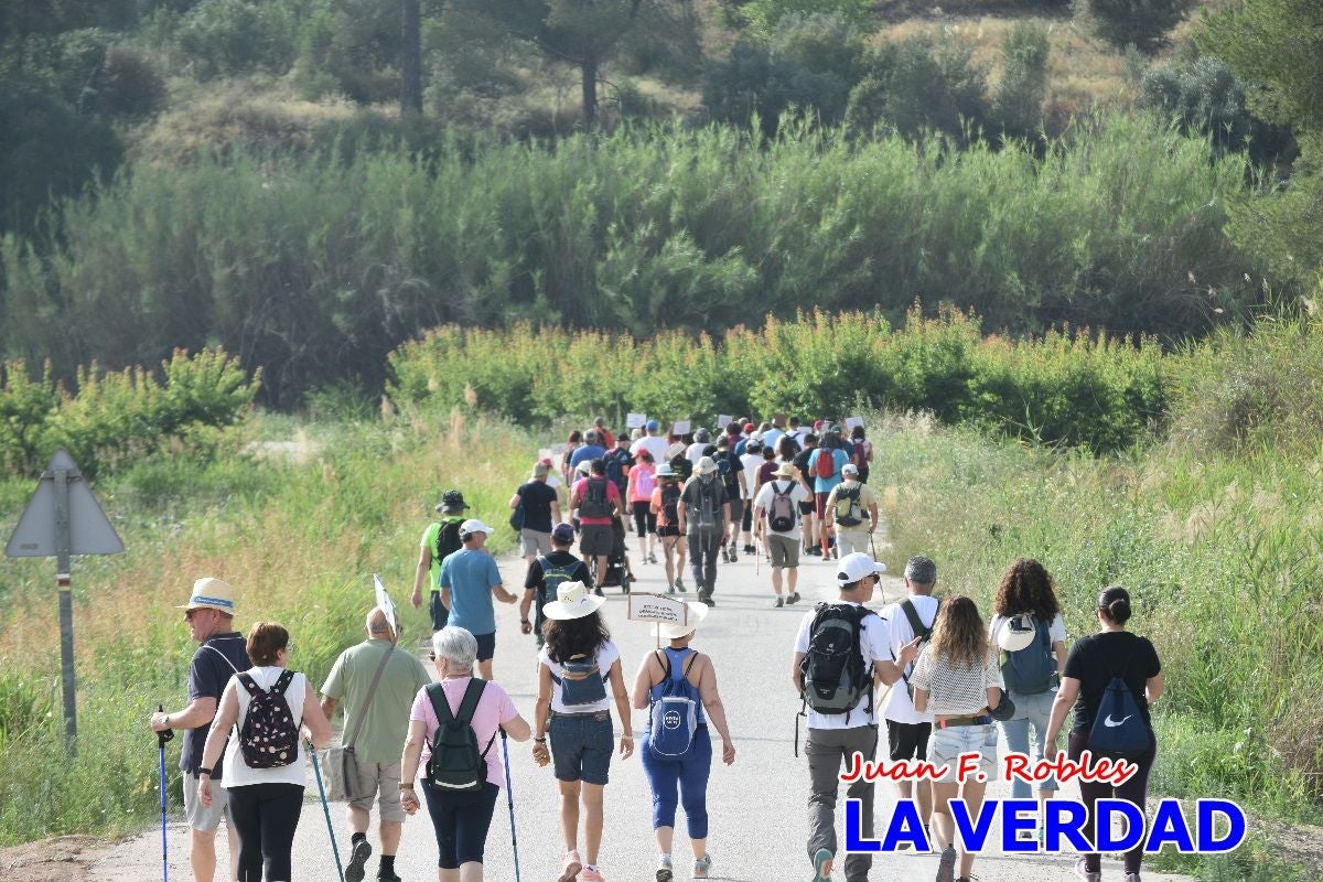 Imágenes de la marcha convocada por Plaza Nueva por la conexión ferroviaria con Albacete