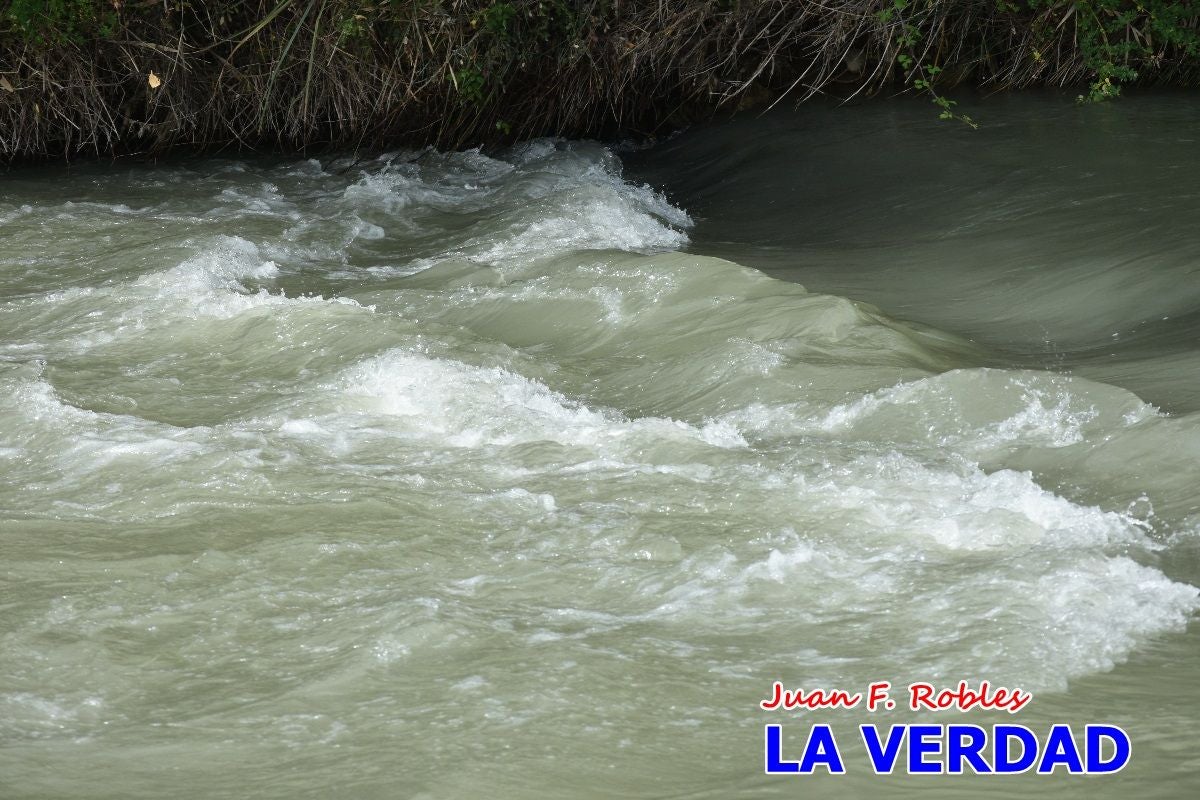 Imágenes de la marcha convocada por Plaza Nueva por la conexión ferroviaria con Albacete