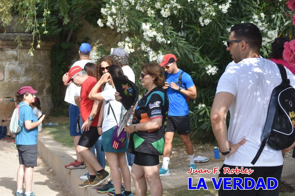 Imágenes de la marcha convocada por Plaza Nueva por la conexión ferroviaria con Albacete