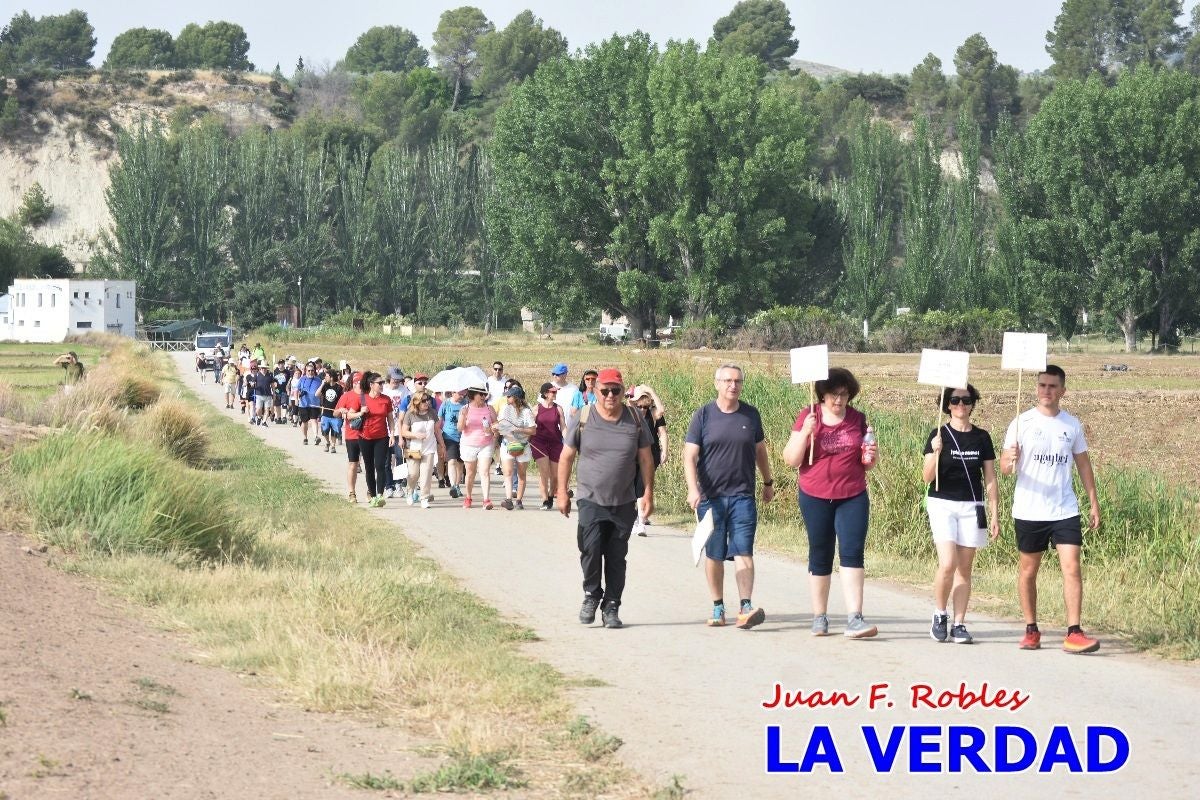 Imágenes de la marcha convocada por Plaza Nueva por la conexión ferroviaria con Albacete