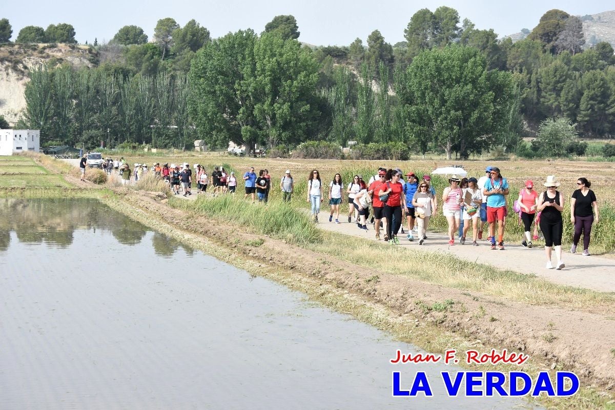 Imágenes de la marcha convocada por Plaza Nueva por la conexión ferroviaria con Albacete