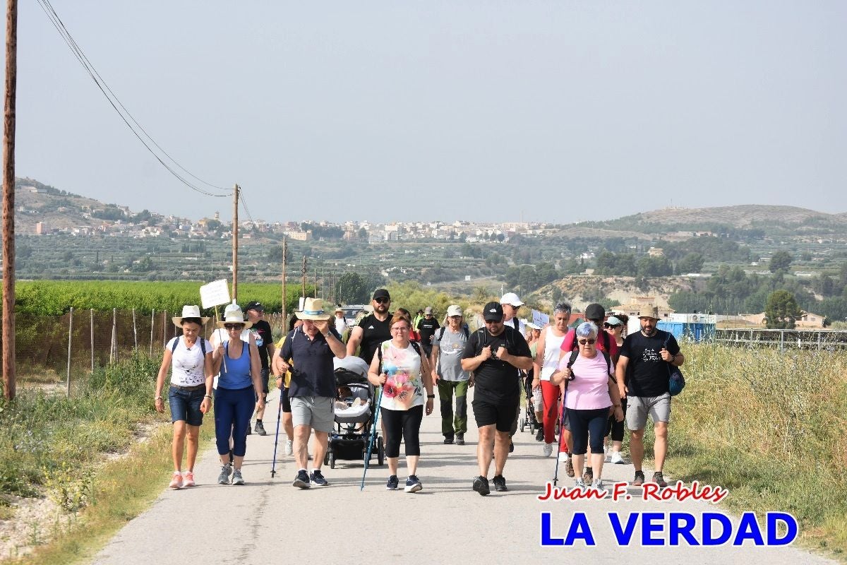 Imágenes de la marcha convocada por Plaza Nueva por la conexión ferroviaria con Albacete