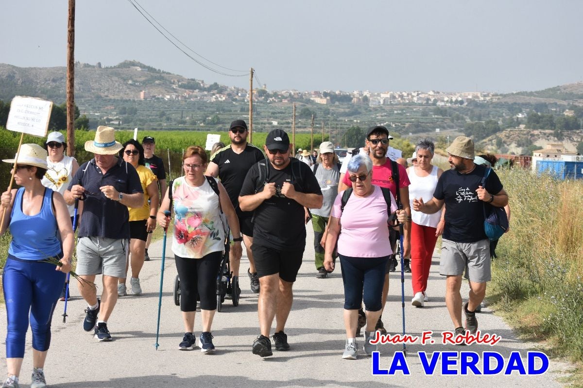 Imágenes de la marcha convocada por Plaza Nueva por la conexión ferroviaria con Albacete