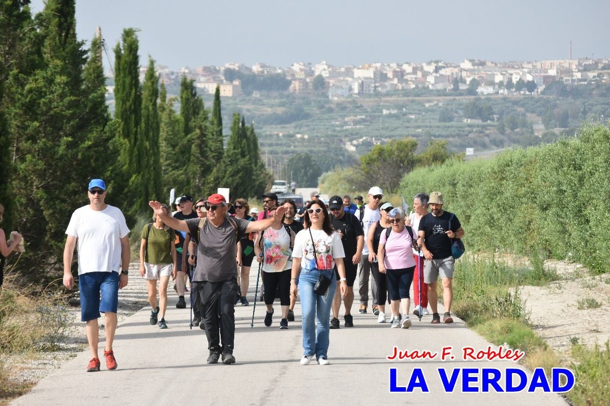 Imágenes de la marcha convocada por Plaza Nueva por la conexión ferroviaria con Albacete