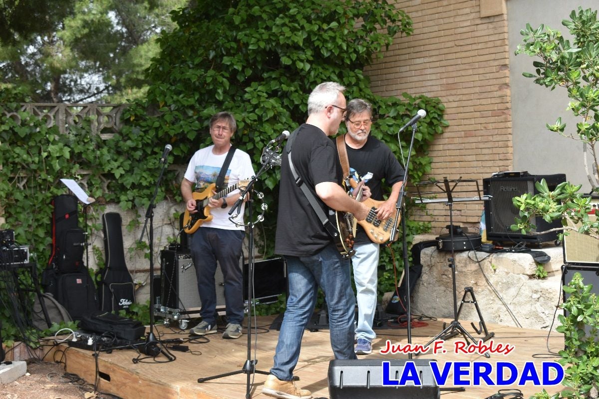 Imágenes de la marcha convocada por Plaza Nueva por la conexión ferroviaria con Albacete