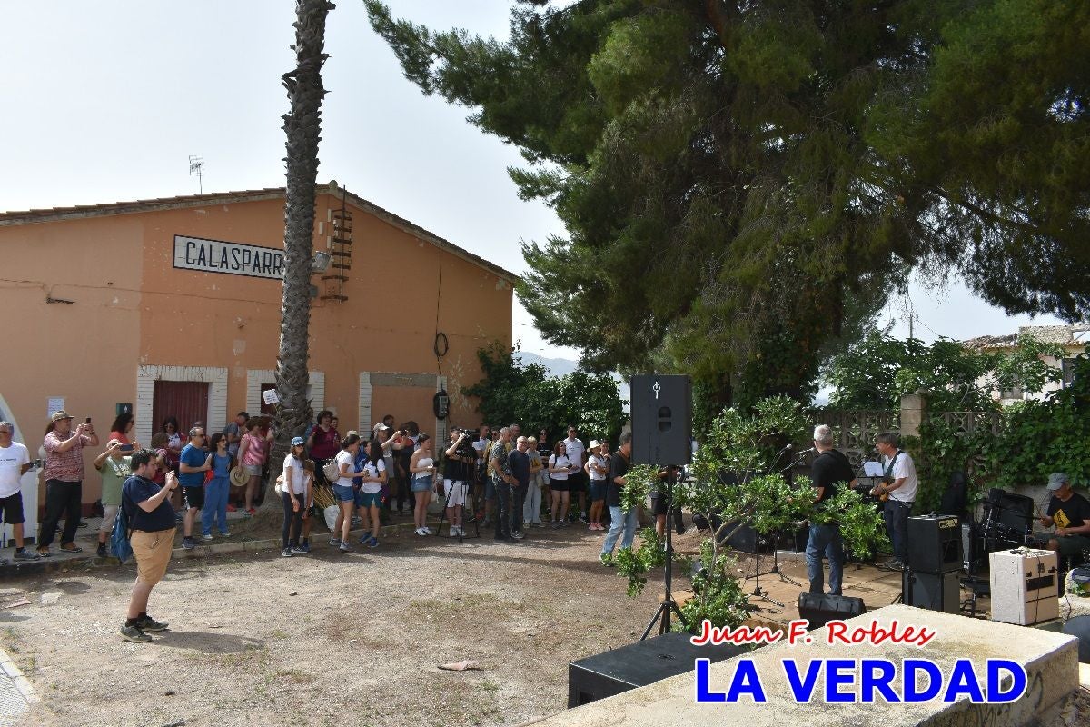 Imágenes de la marcha convocada por Plaza Nueva por la conexión ferroviaria con Albacete