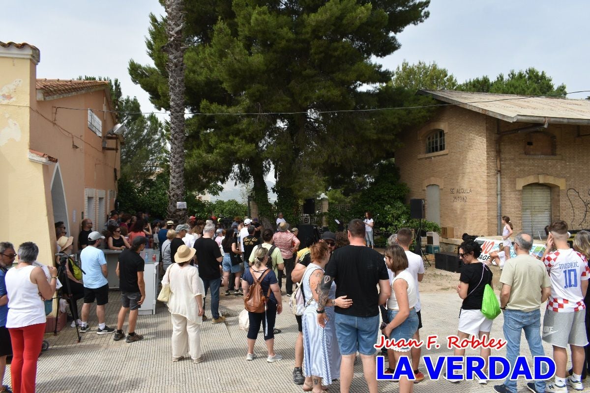Imágenes de la marcha convocada por Plaza Nueva por la conexión ferroviaria con Albacete