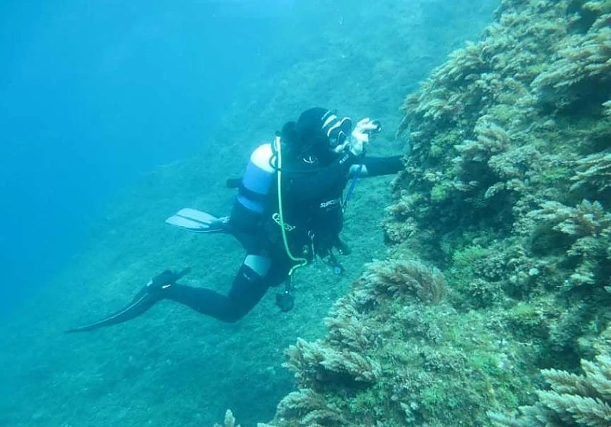 Un buzo realiza un estudio sobre el fondo marino del puerto de Escombreras en una imagen de archivo.