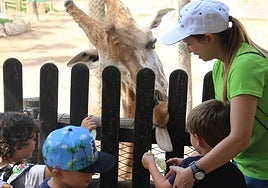 Un grupo de niños en las instalaciones del parque.