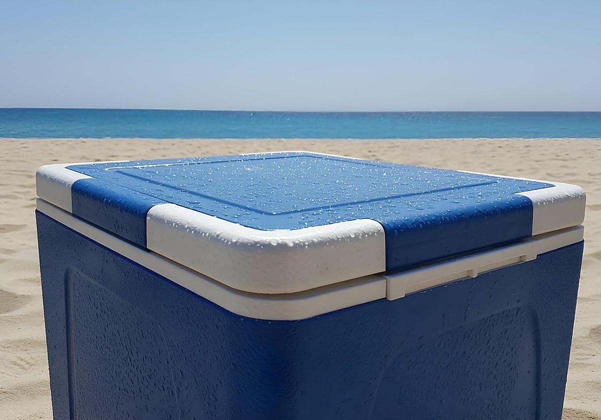 Una ne+vera en la playa.