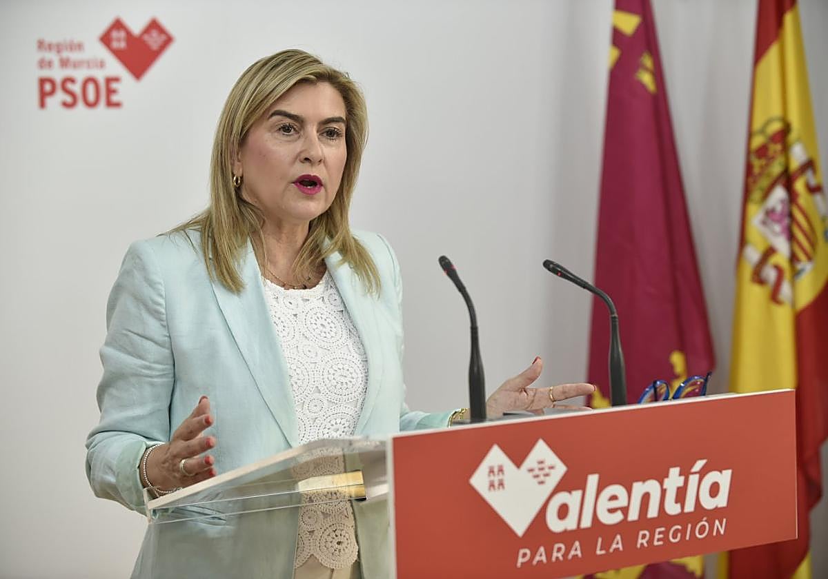 Carmina Fernández, este miércoles, en su comparecencia ante los medios.