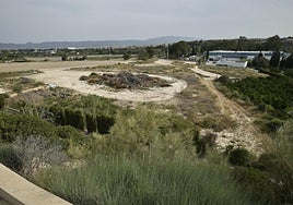 Parcela que permitirá la ampliación de las instalaciones de la potabilizadora de Contraparada.