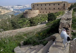 Antiguo cuartel General Fajardo, con la ciudad al fondo.