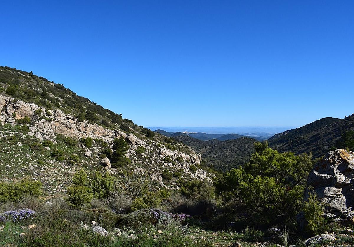 La Comunidad facilita la prevención de incendios en montes de Lorca con mejoras en sus caminos