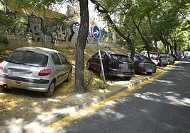Coches aparcados en la franja de terreno que ocupa el talud de la incorporación a la A-30 desde la salida del jardín del Malecón.