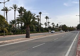 Avenida donde se plantarán las palmeras.