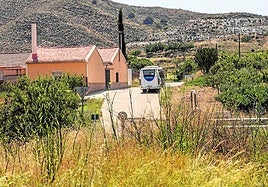 Un autobús recorre una de las carreteras de la zona oeste en las que la maleza disminuye la visibilidad.