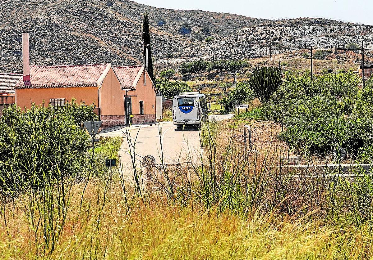Un autobús recorre una de las carreteras de la zona oeste en las que la maleza disminuye la visibilidad.