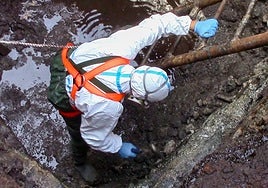 Un agente del Seprona, inspeccionando un hoyo con residuos en El Romeral, en 2014.