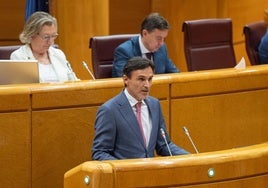 Jorge García Montoro, este lunes, en el Senado.