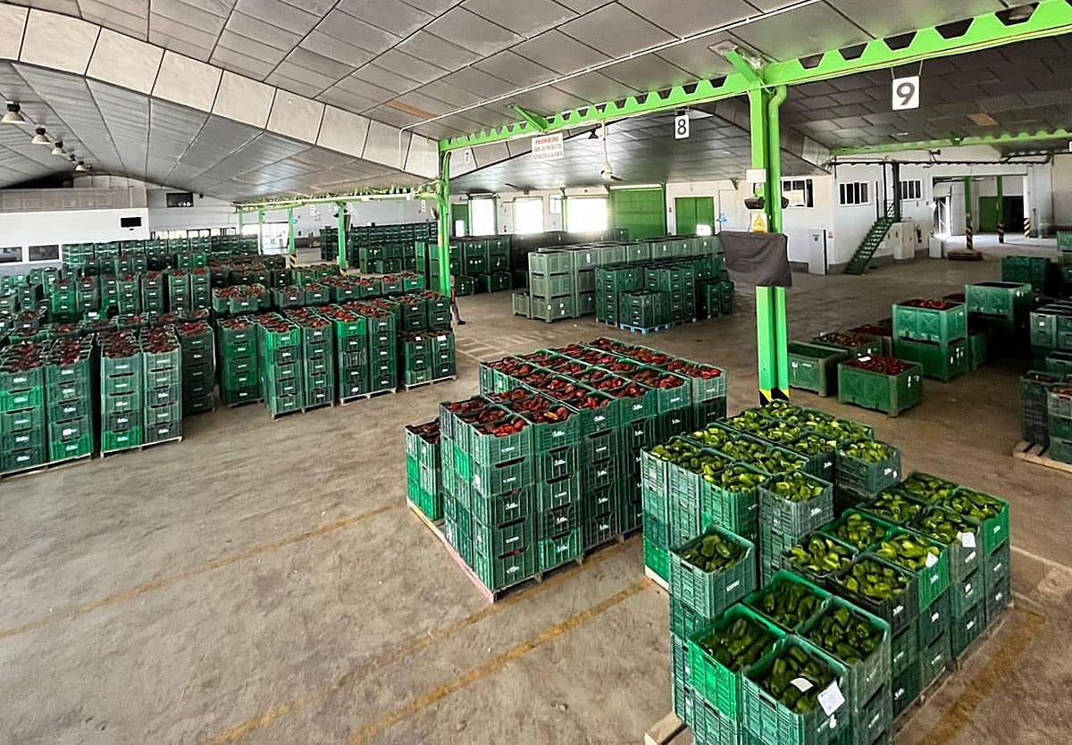 Mercancía preparada para su comercialización.